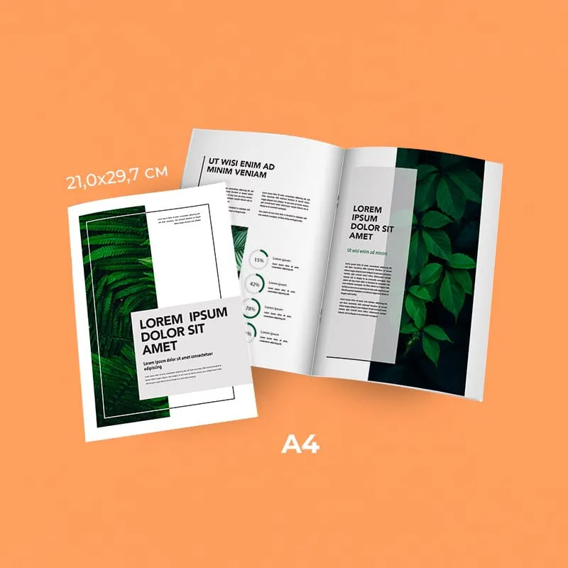 Brochure A4 Quadri 100g 4 pages